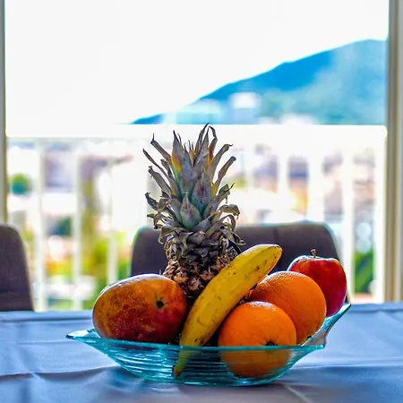 Eugenie - Gorgeous Sea View Ac Wifi - By Tgb Ajaccio